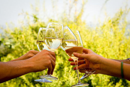 Stellenbosch & Franshoek Scenic Winery Tour *8 Hours*