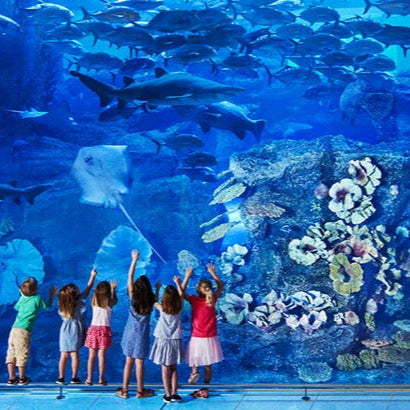 Two Oceans Aquarium Tickets