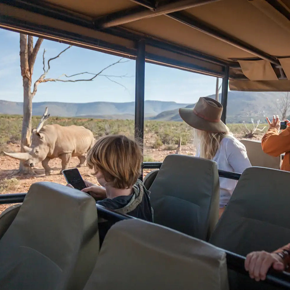 Full Day Trip - Traditional Safari