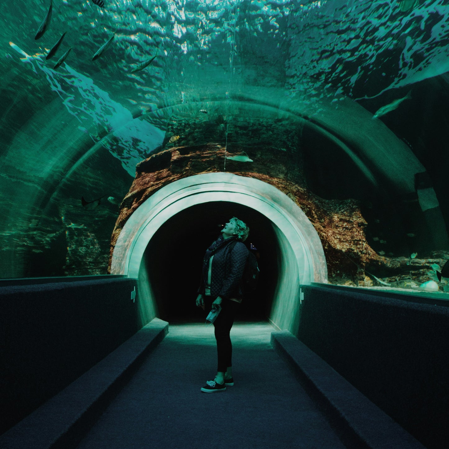Two Oceans Aquarium