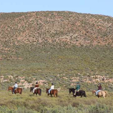 Full Day Trip - Horseback Safari