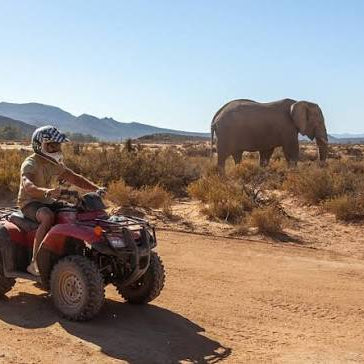 Full Day Trip - Quadbike Safari