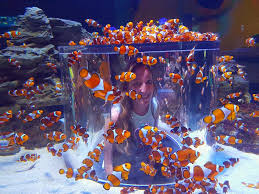 Two Oceans Aquarium
