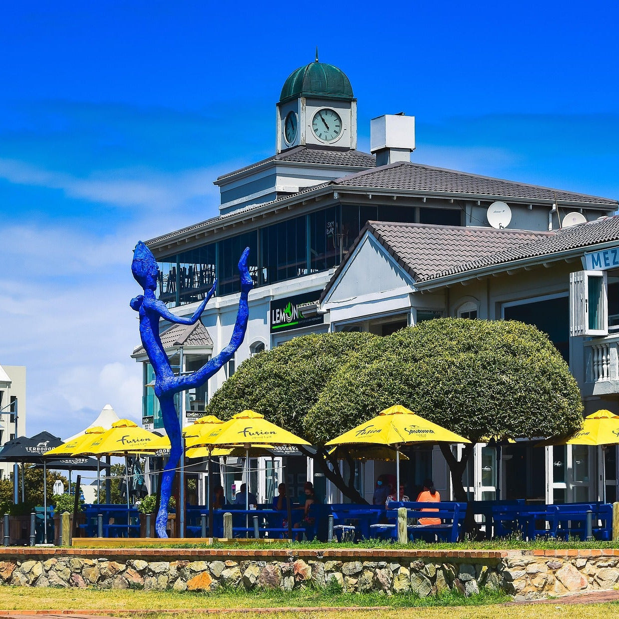 Hermanus Whale Watching & Sightseeing Day Tour