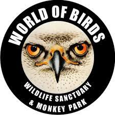 World of Birds