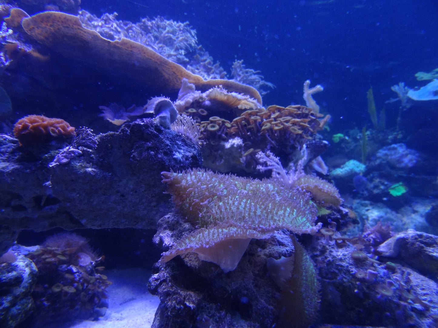 Two Oceans Aquarium