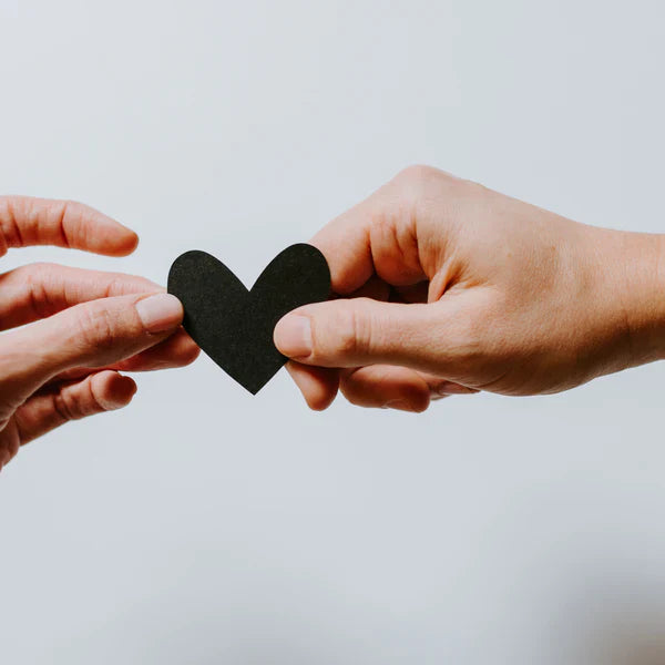 Contribute to a Charity & Nox Rentals will match your donation