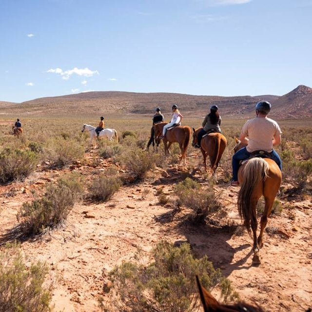 Full Day Trip - Horseback Safari