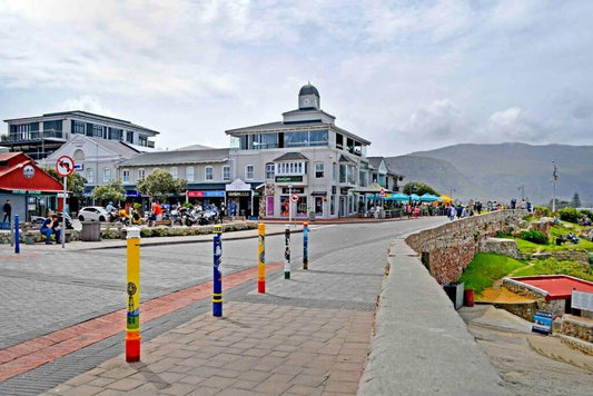 Hermanus Whale Watching and Sightseeing Day Trip *8 Hours*