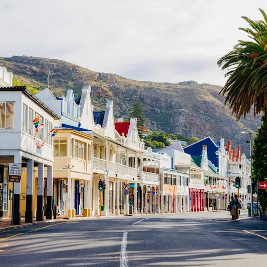 Hermanus Whale Watching & Sightseeing Day Tour