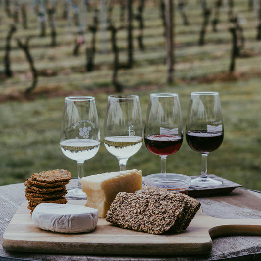 Stellenbosch & Franschhoek Scenic Winery Day Tour
