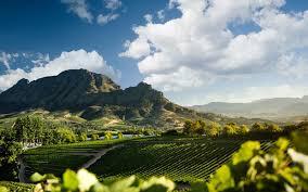 Stellenbosch & Franshoek Scenic Winery Tour *8 Hours*