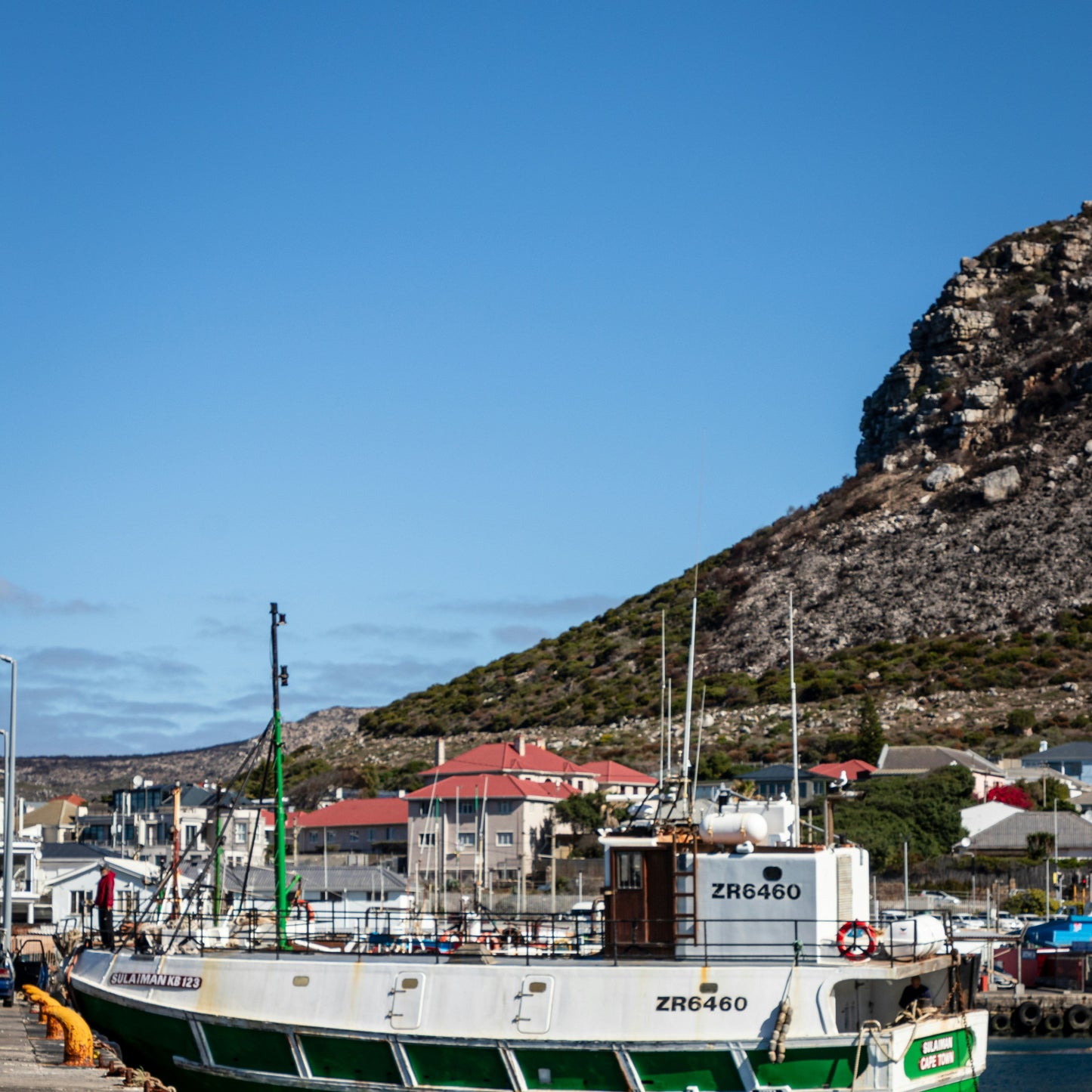Cape Point & Boulders Day Tour