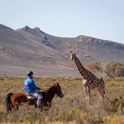 Full Day Trip - Horseback Safari