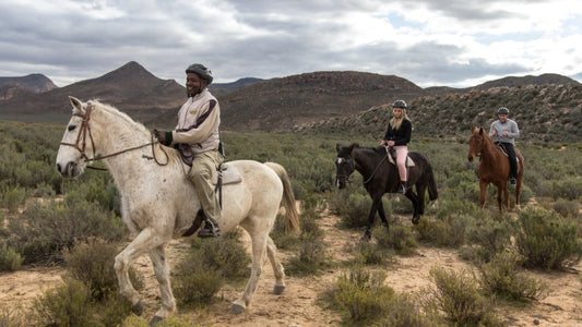 Full Day Trip - Horseback Safari