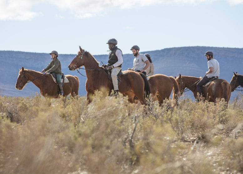 Full Day Trip - Horseback Safari