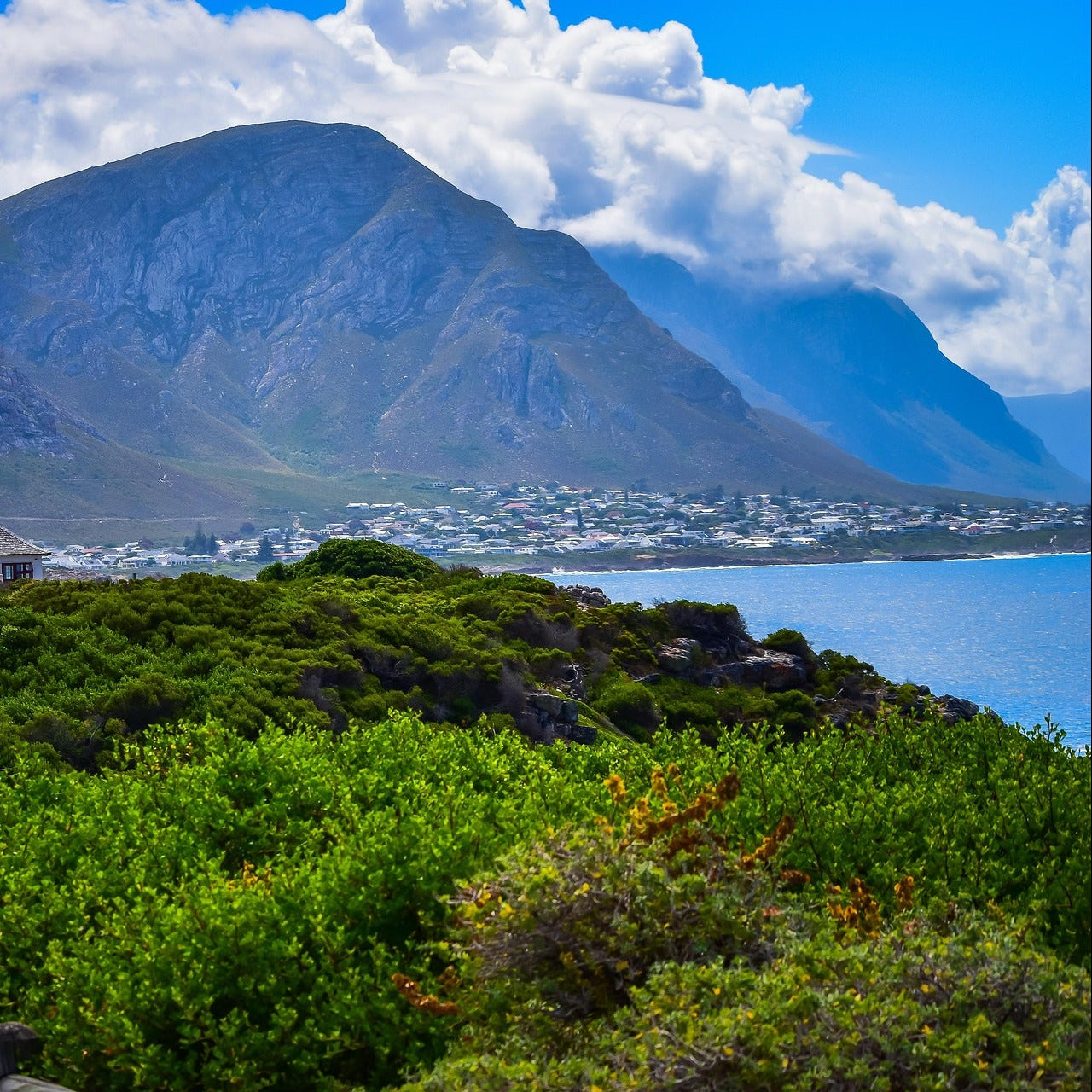 Hermanus Whale Watching & Sightseeing Day Tour