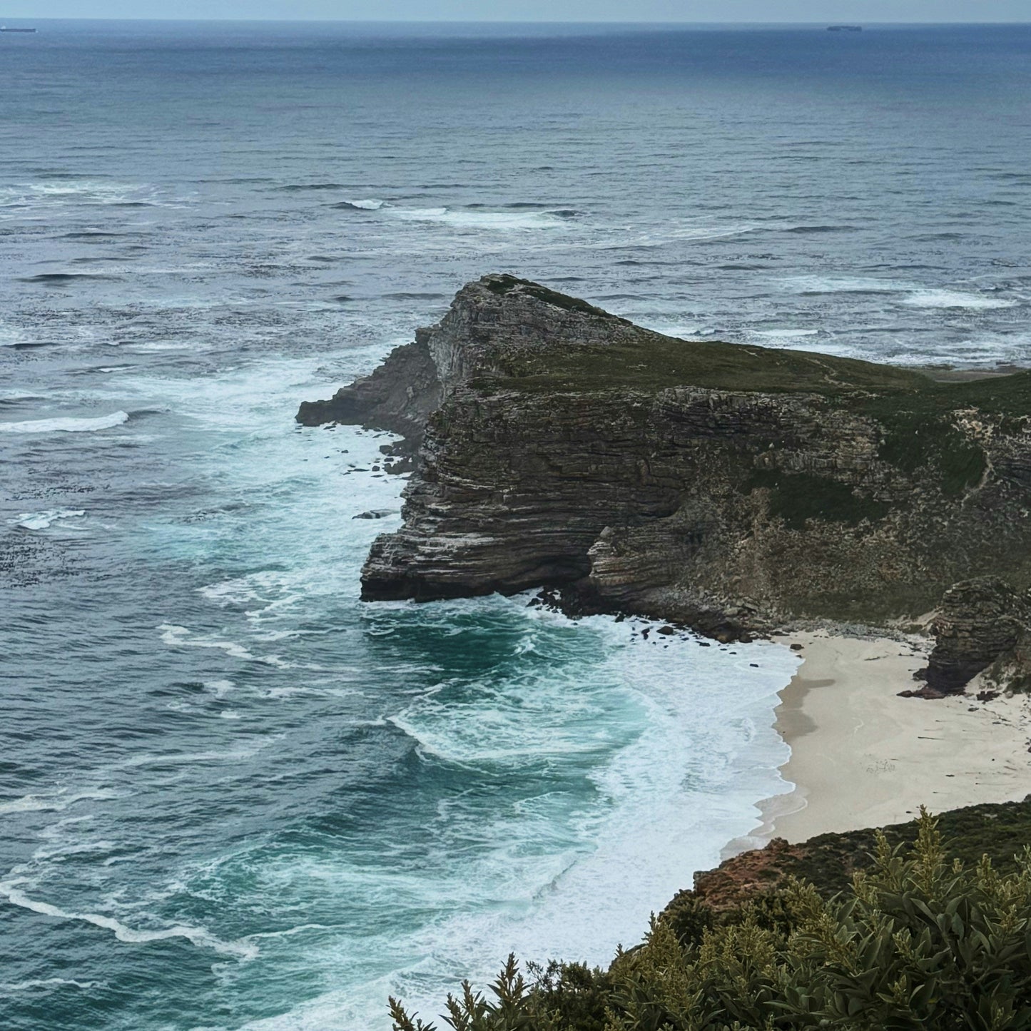 Cape Point & Boulders Day Tour
